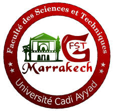 DEUST MIPC logo